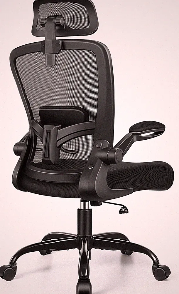 Ergonomic Office Chair, Headrest Desk Chair with Adjustable Lumbar Support, Home